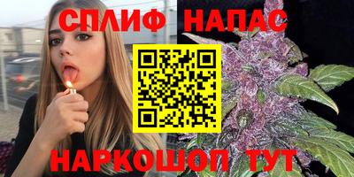 гашик Малоярославец