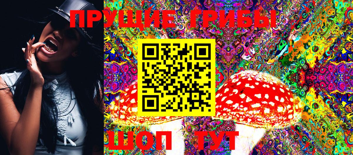 Шахты  купить   Вход с VPN  Галлюциногенные грибы Psilocybe 