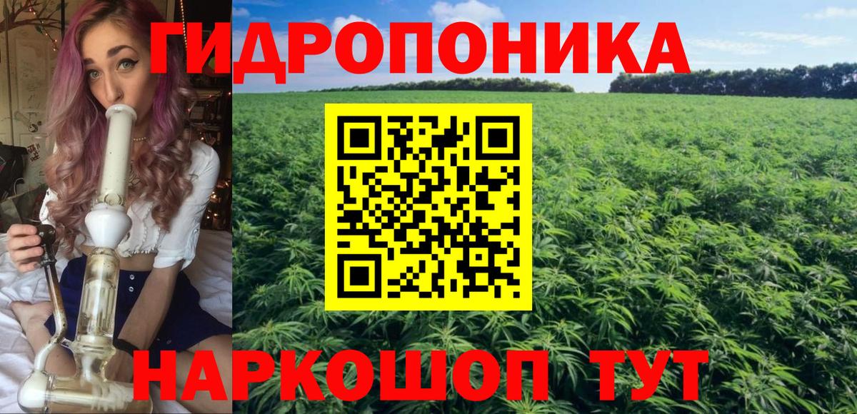 Бошки Шишки гибрид  Марихуана конопля  Вход с VPN  Шахты  Бошки марихуана гибрид 