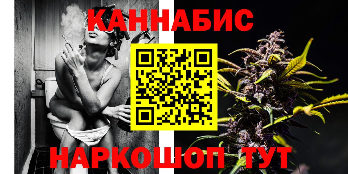 Канабис сатива Шахты